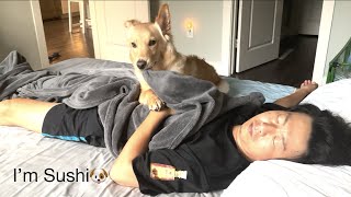 【Sushi】アラフォーのリアル垂れ流し。需要なし。