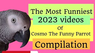 Miniature vidéo