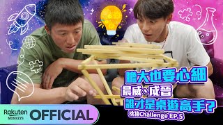 [討論] 逗貓棒的大小