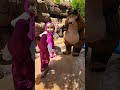 Cute Little Masha And Bear