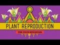 The Plants The Bees Plant Reproduction CrashCourse Biology 38