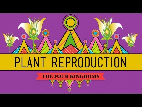 Crash Course Biology Preview