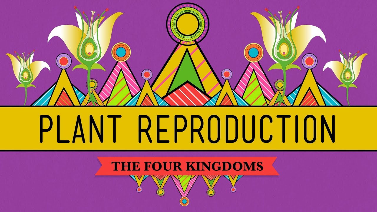 The Plants & The Bees: Plant Reproduction - CrashCourse Biology #38