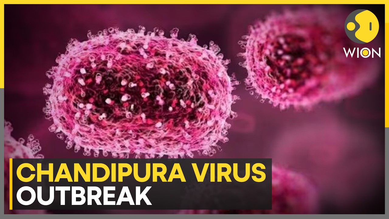 Chandipura Virus: Gujarat Reports 35 Chandipura Virus Cases | WION News