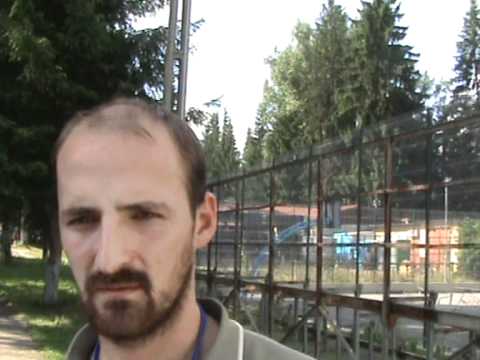 Egy tehén is megakadályozhatja egy kastély visszaszolgáltatását