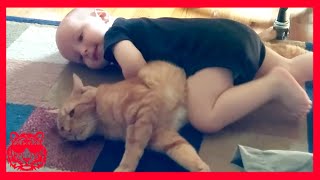 😊  Cute Moments (44)  أطفال مضحكون ★ فيديو أطرف أطفال الهند | لحظات ظريفة