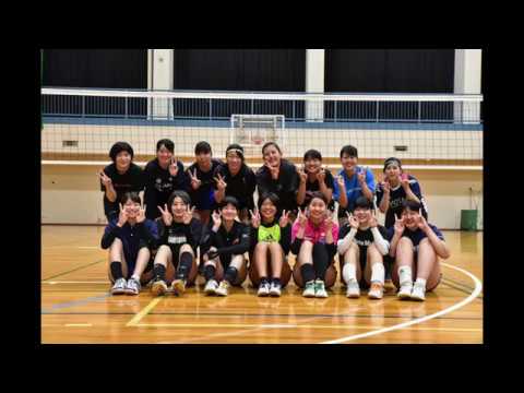建築学科 星槎道都大学 女子バレーボール部