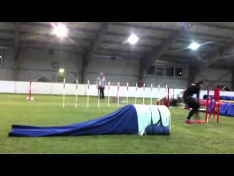 Gizmo medi3 jump 0 Ojanko 1 11 15 Gibson