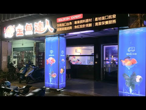 金魚達人~金魚專賣店(歇業) | 金魚快訊2站Goldfish Messages | 收藏嗜好分享 | 痞客邦 | PIXNET