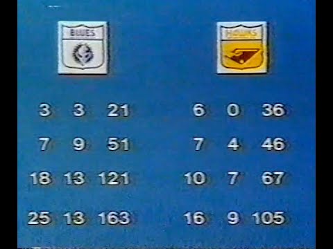 1982 Qualifying Final - Carlton v Hawthorn. The Winners