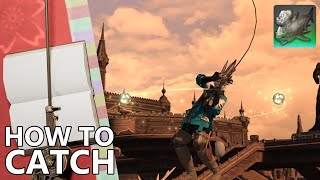 🌱How to Catch Stethacanthus in FFXIV