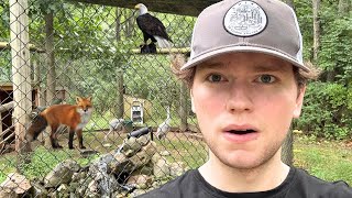 I Explored One of Michigan's Coolest Wildlife Centers