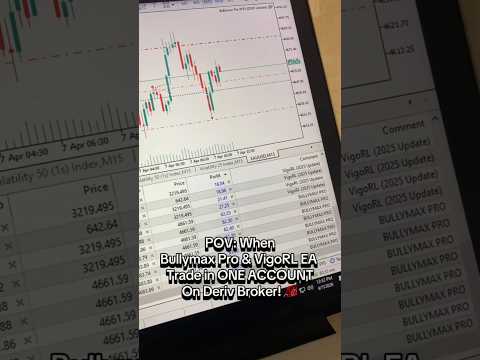 BullyMax + VigoRL — Multi-EA Risk Management video thumbnail