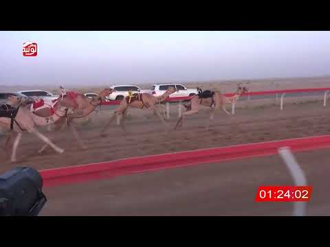  ش 5 (الشاهينيه) لـ منصور صالح بن طرشوم العامري 3:10:53 ، شارة الصندوق 2026/08/28 فطامين الوقن