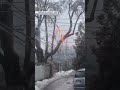 Freezing rain takes down trees and powerlines in eastern Ontario & Quebec #weather #icestorm