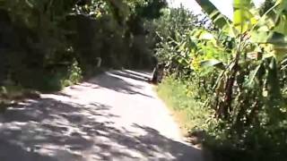 preview picture of video 'National Highway, from Badian to Alegria and Malabuyoc, Southern Cebu, Philippines ( 9 )'
