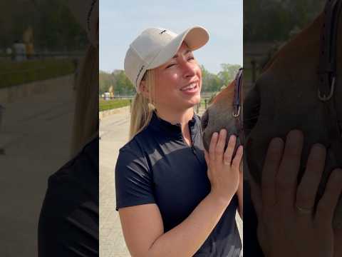 Pferdehofliebe - Mit oder ohne Hocker? 😂 #pferdehofliebe #equestrian #shorts #fyp #pferde #viral