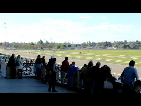 ROUNDOFAPPLAUSE - GP Jockey Club