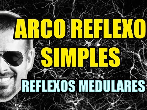 Vídeo Aula 131 - Sistema Nervoso/Neuroanatomia - Arco Reflexo: Reflexo de Estiramento e de Retirada