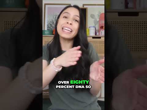 Farmers Dog vs Ollie Buyers Guide