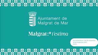 Ple extraordinari 30/11/2023