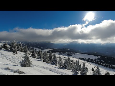 CIMA MANDERIOLO dal Rifugio Larici da Alessio