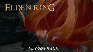 【生放送】へっぽこ騎士のやり残し【エルデンリング】