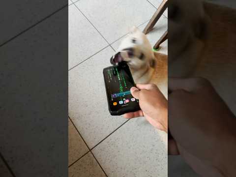 NOT EVEN HE BROKE HIS INDESTRUCTIBLE CELL PHONE! 😱 #shorts #viral