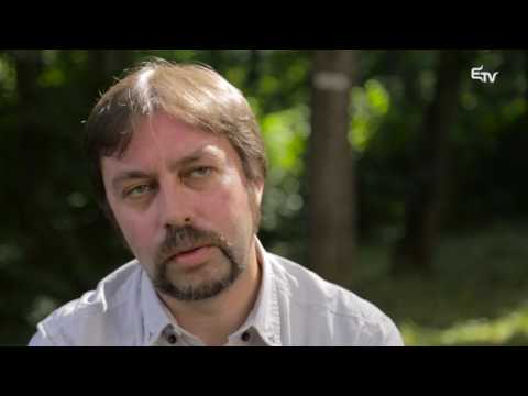 Profil: Markó Bálint – 2016. november 21.