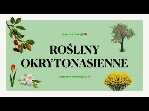 #17 Rośliny okrytonasienne - budowa, charakterystyka, cykl rozwojowy 🌳 matura biologia rozszerzona 📕