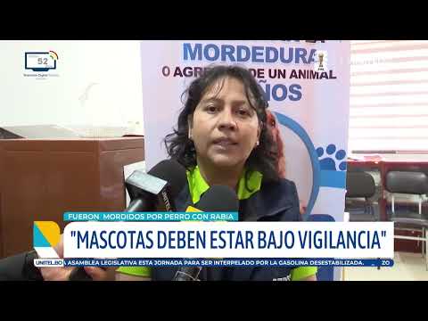 Emergencia en Vinto: un perro con rabia mordió a al menos 13 personas