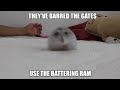 THEY VE BARRED THE GATES