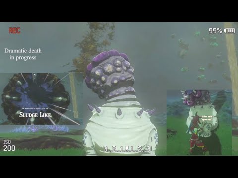 Fighting The Sludge Like with Sidon, Tulin and Yunobo