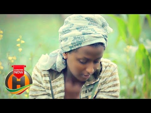IBIDDOO GALAAN - SIMBIRREE - New Ethiopian Music 2019 (Official Video)