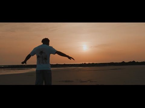 D4R  - Paypal (Clip Officiel)