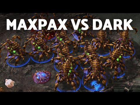 MAXPAX vs DARK'S mass queens! | DreamHack Last Chance Group C (Bo3 ZvP) - StarCraft 2