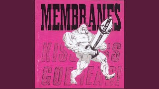 Cheap Male Aggression