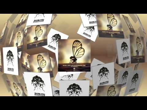 Alexey Lisin ft. Alexandra Pride - Try My Soul - Another Audio Noir Safari (Bonzai Progressive)