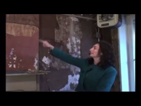 Exploring 97 with Annie Polland