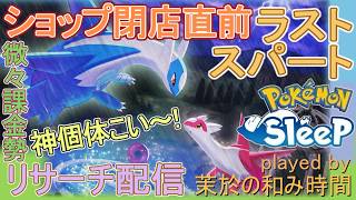 【#ポケスリ】ラティオス狙い！パックショップ閉店前駆け込み！【#ポケモンスリープ】ワカクサEX+８５％Plus+所持。無課金な中堅勢？によるPokémon Sleepのんびり実況♪