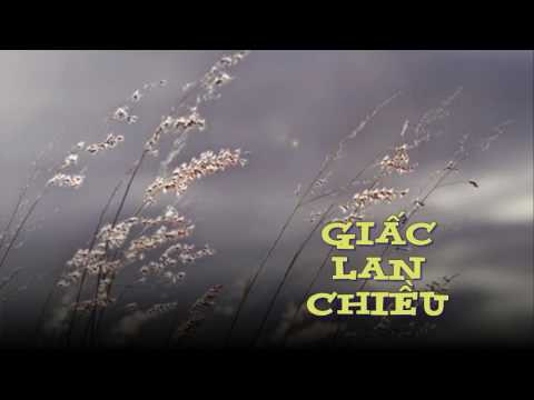 Giấc lan chiều - Ngọc Huy