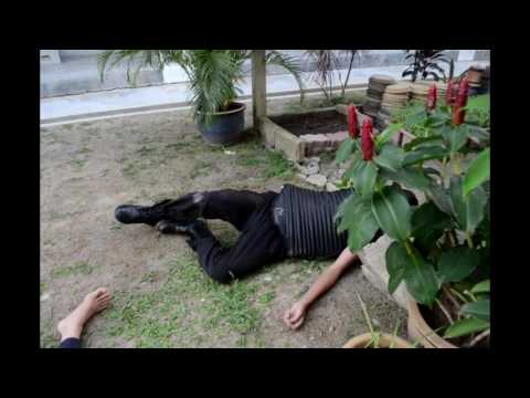 Dis Moi DIx Mots : SBPI Jempol : 3UK 2017