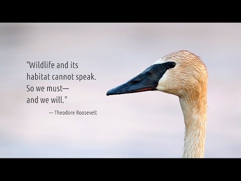 All Over the Map: I Dream of Seney