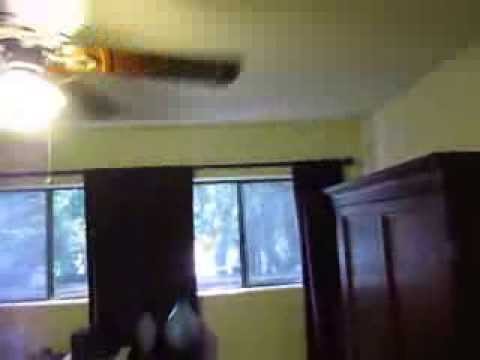 PL3319 - 1Bed Apartment Near The Grove