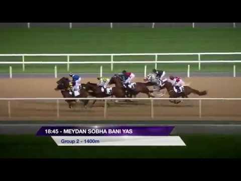 19.02.2015 Meydan (Dubai/UAE) 1.Race Bani Yas - Group II 1.400 m