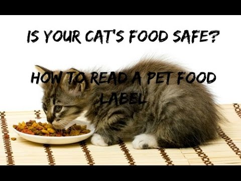 Is Your Cat Food Safe? How To Read A Pet Food Label