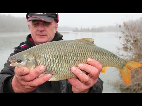 FEEDEROM NA SAVI KRAJEM JESENI - Ninoslav Žagar