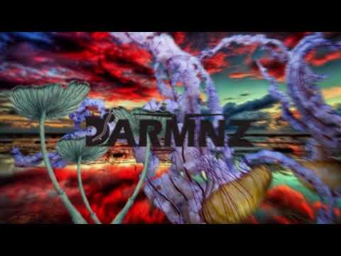 Dj - D21 - Dance Monkey (Tones and I - Official remix)