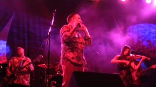 This Must Be The Place ~ Poi dog Pondering