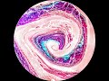3 Pretty In Pink Spiral Abstract Swipe Sheleeart Style